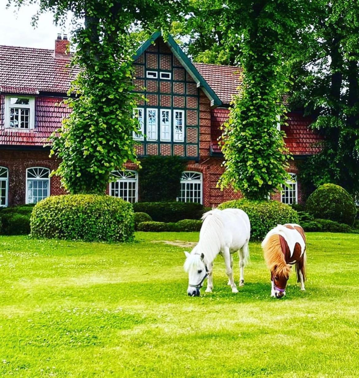 Hotel Hof Kirchhorst Gross Wittensee Zewnętrze zdjęcie